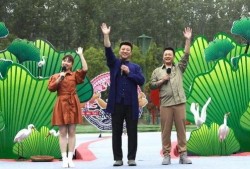 王小慧落水最新爆料视频,细节披露令人震惊