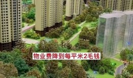 房产爆料知识大全最新版,最新版深度解析与实战技巧